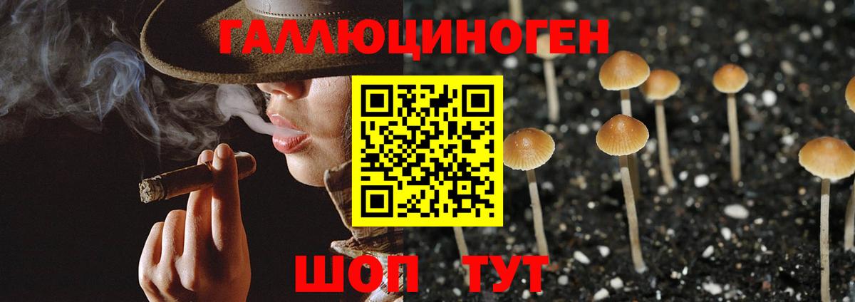 Псилоцибиновые грибы мухоморы Йошкар-Ола
